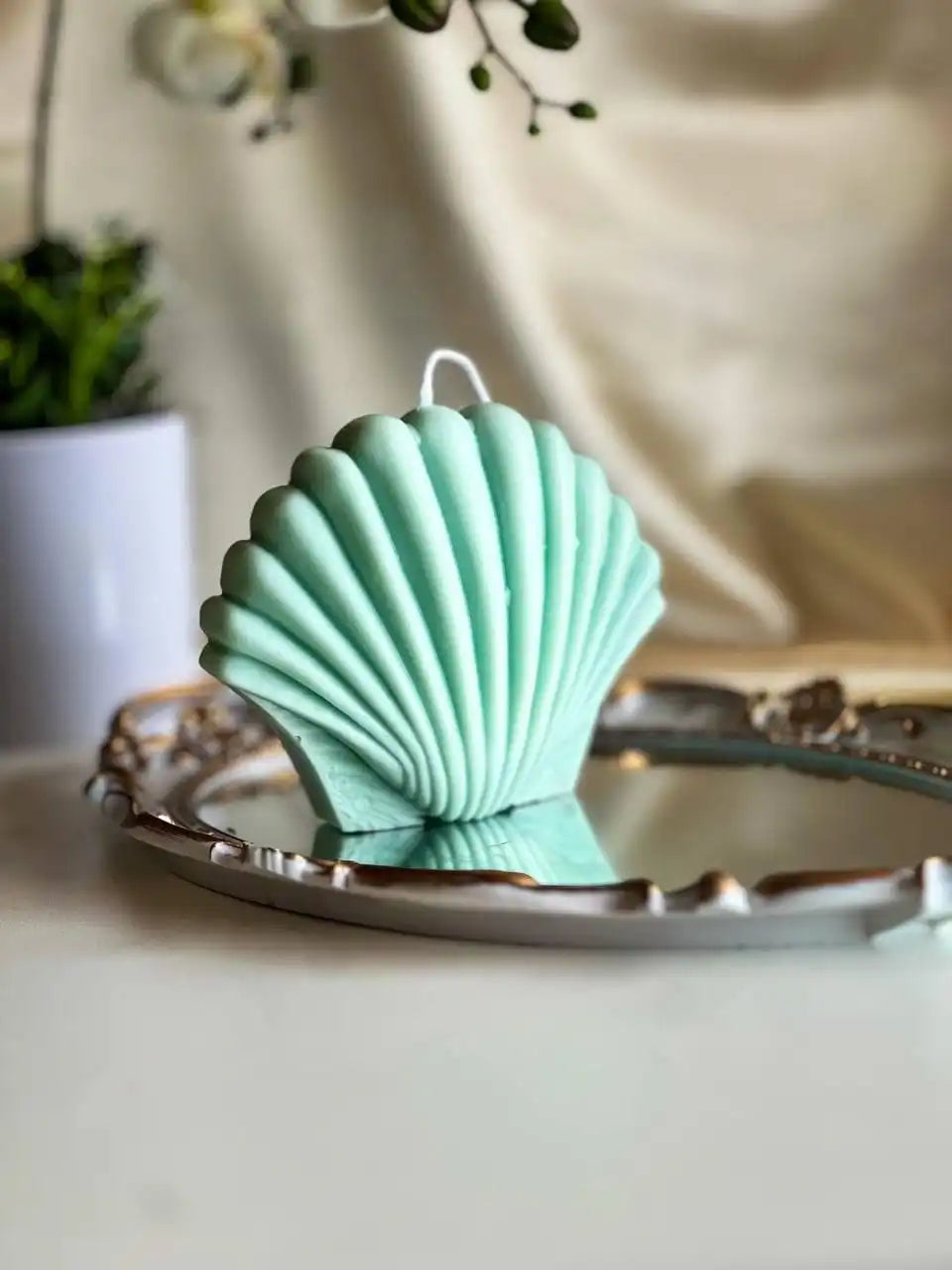 Large Shell Candle 5x5.5 inches