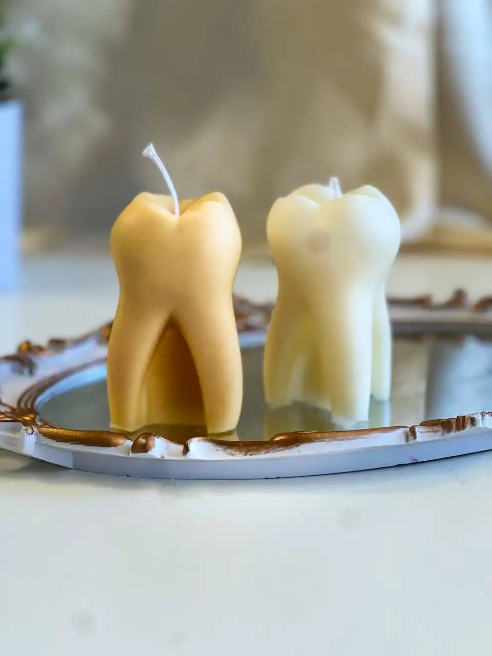 Tooth Shaped Candle 3.75x2 inches