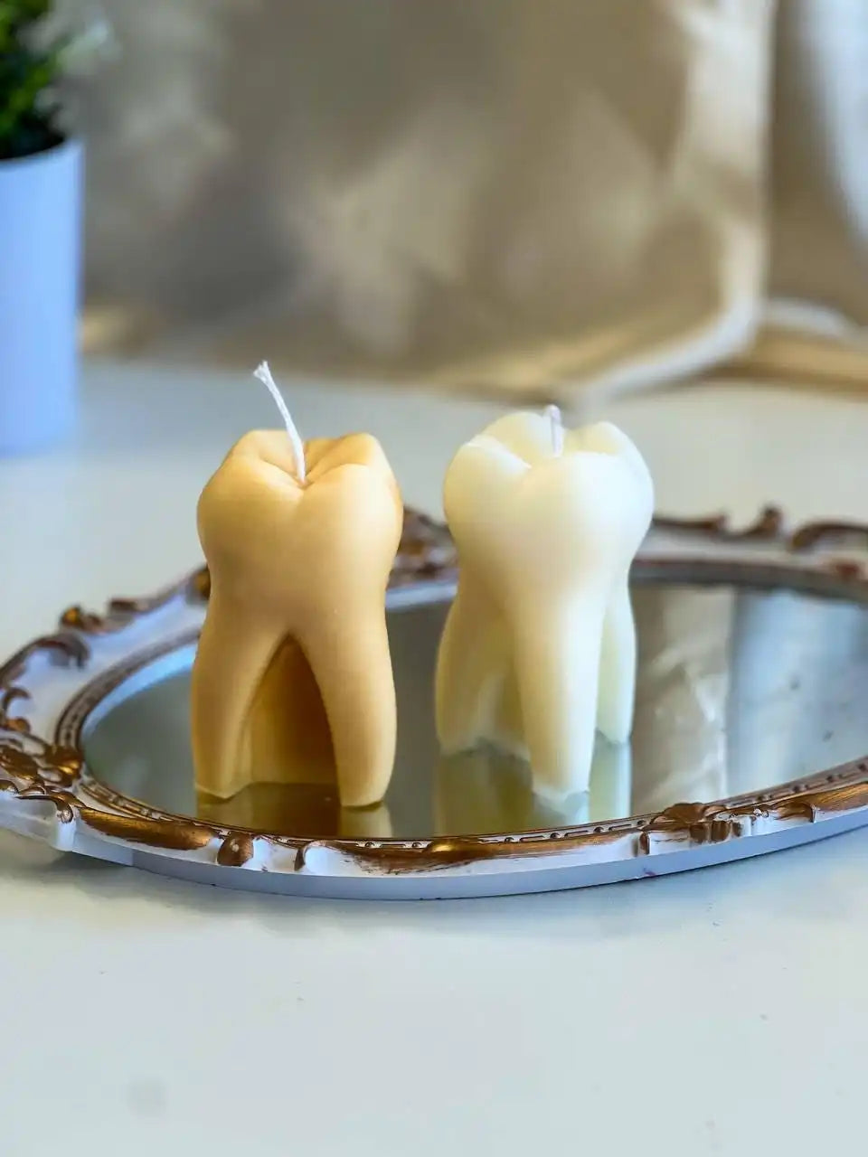 Tooth Shaped Candle 3.75x2 inches
