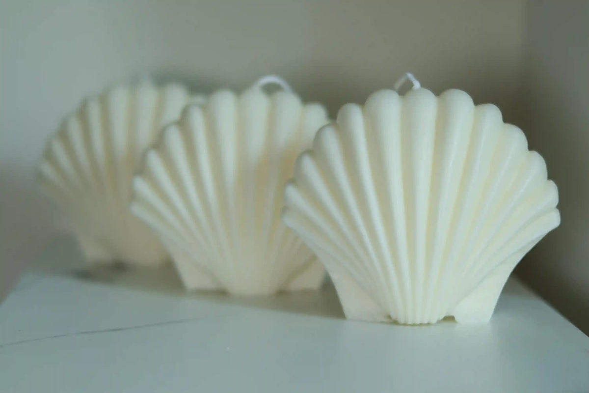 Large Shell Candle 5x5.5 inches