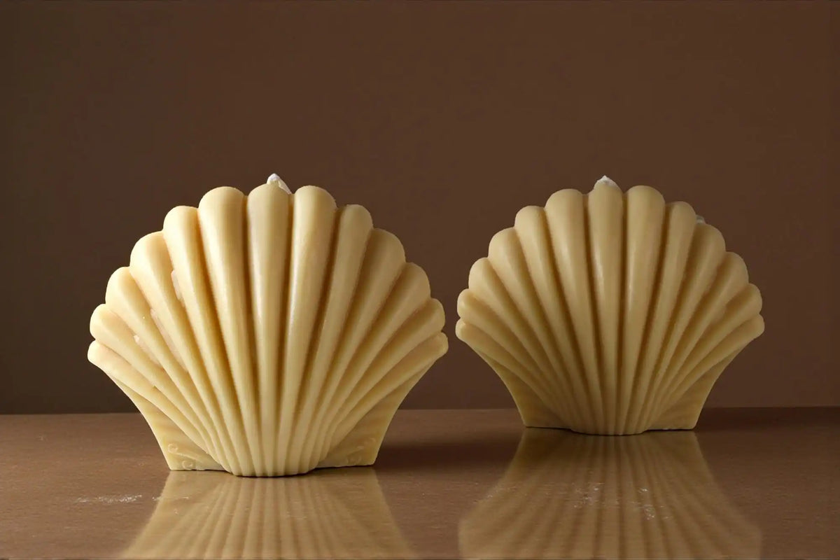 Large Shell Candle 5x5.5 inches
