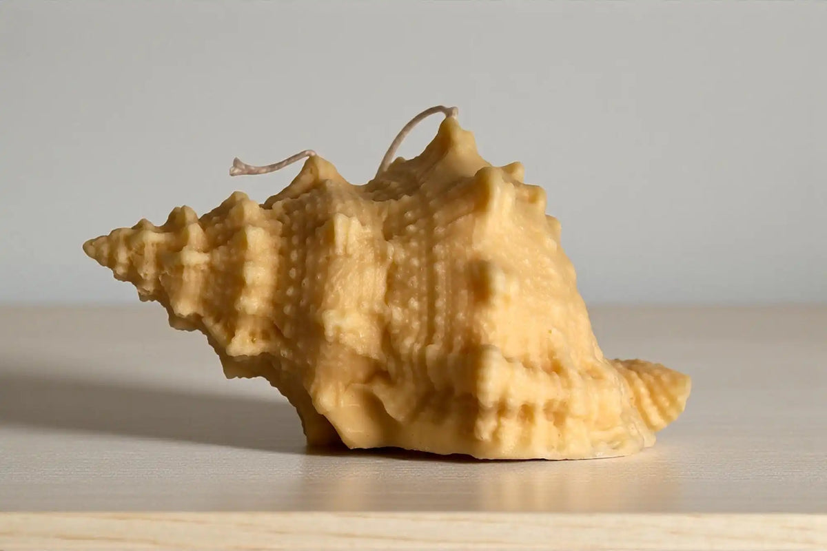 Natural Shell Candle 4x7 inches