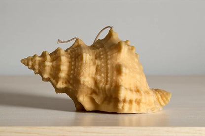 Natural Shell Candle 4x7 inches