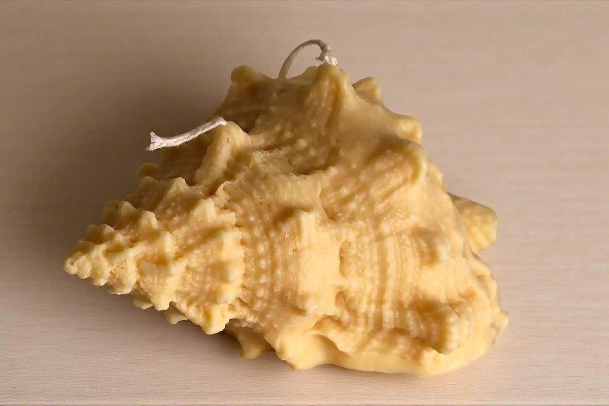 Natural Shell Candle 4x7 inches
