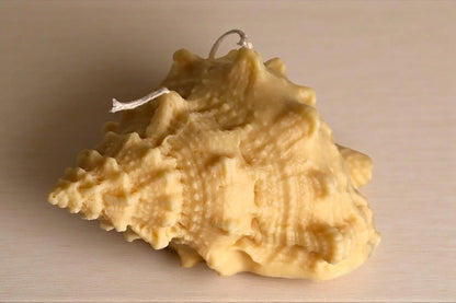 Natural Shell Candle 4x7 inches