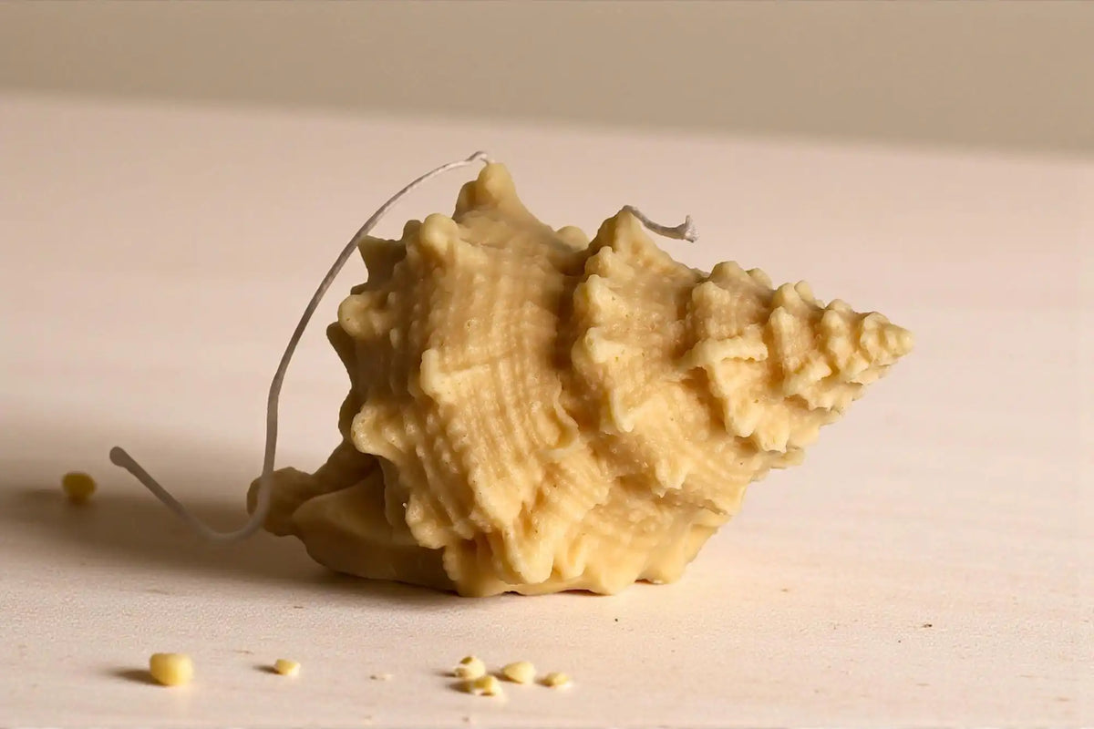 Natural Shell Candle 4x7 inches