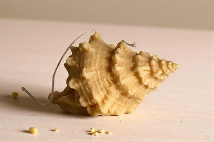 Natural Shell Candle 4x7 inches