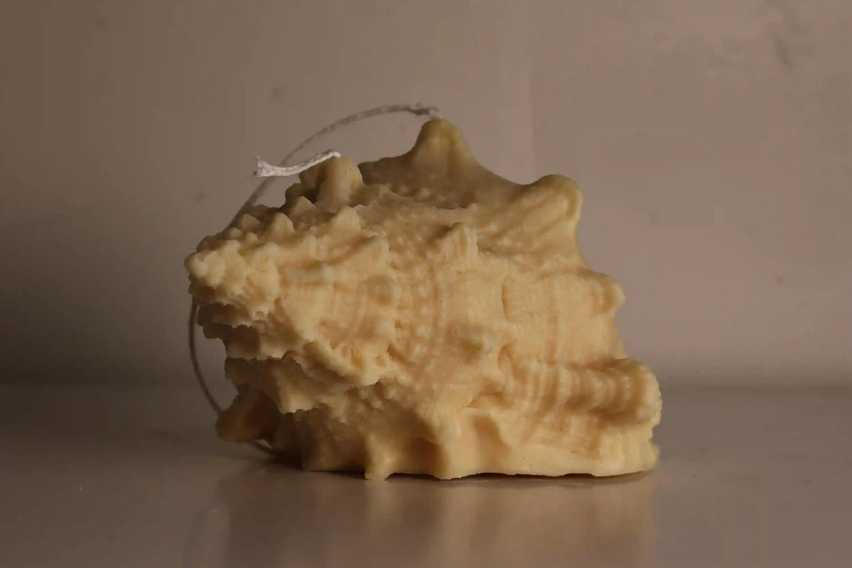 Natural Shell Candle 4x7 inches