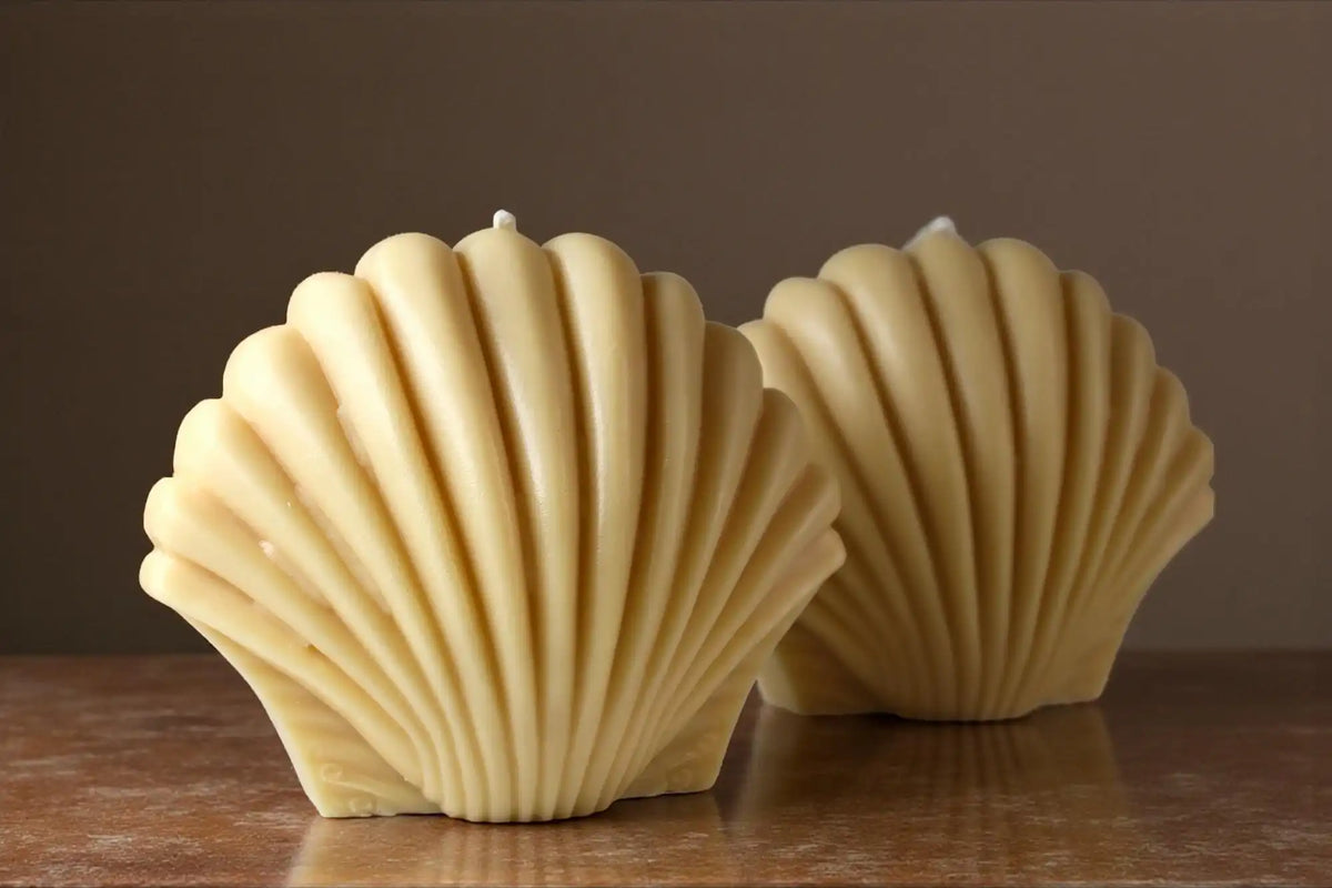Large Shell Candle 5x5.5 inches