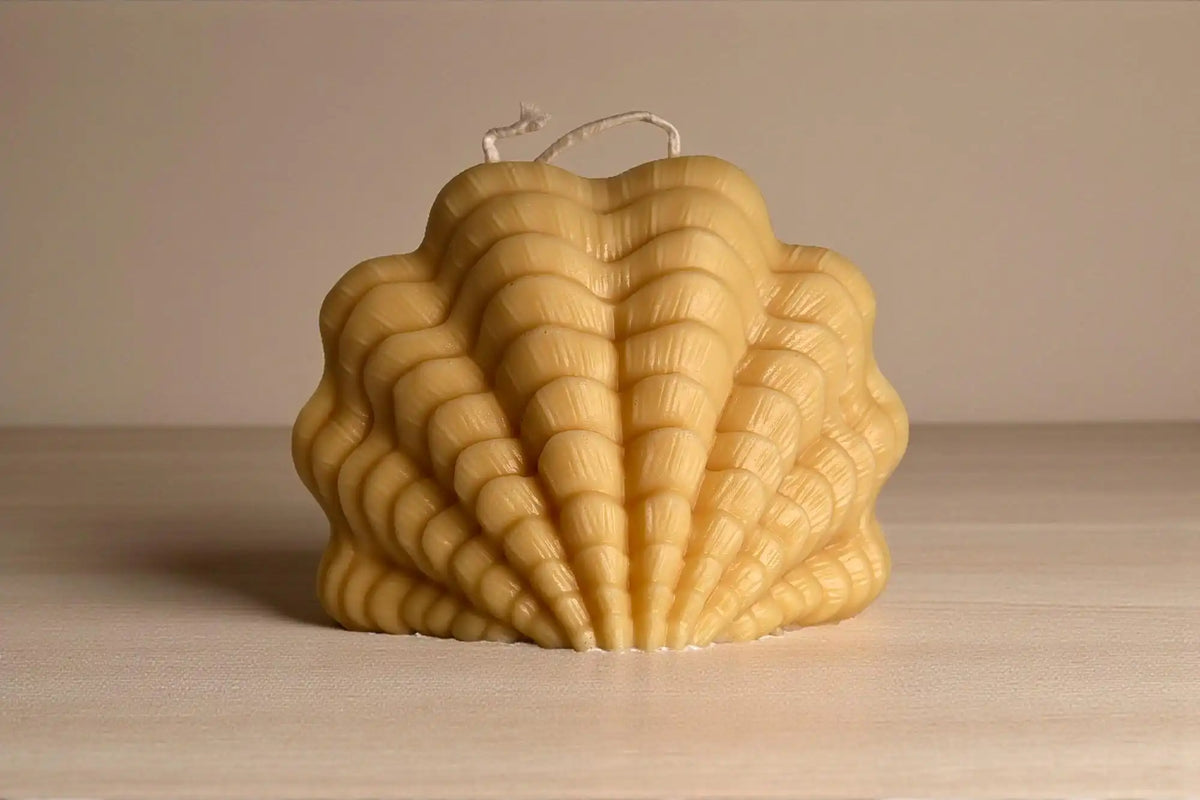 Large Ocean Shell Candle 4.5x5.5 inches