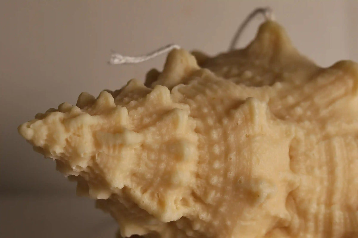 Natural Shell Candle 4x7 inches